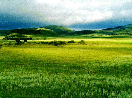 grasslands2
